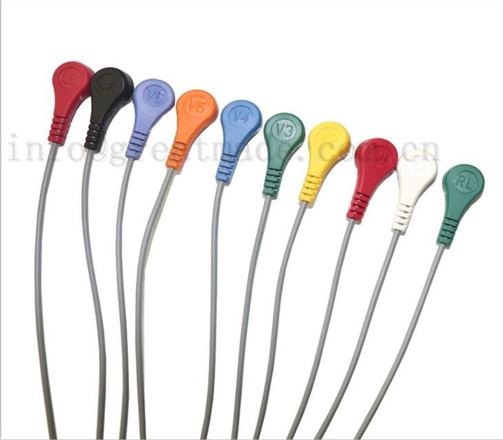Compatible With EDAN DX12 Holter ECG Cable 10 Lead 20pin One Piece Ecg Cable And Leadwire Snap